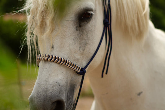 Knotenhalfter "Ósk"