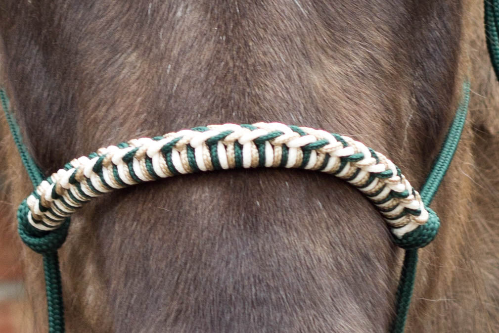 Knotenhalfter "Ósk"