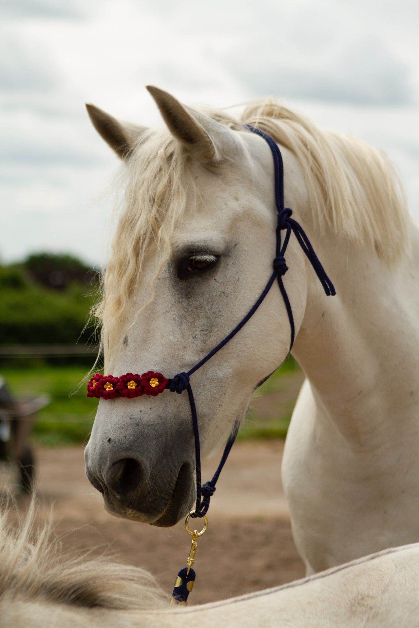 Knotenhalfter "Flora"