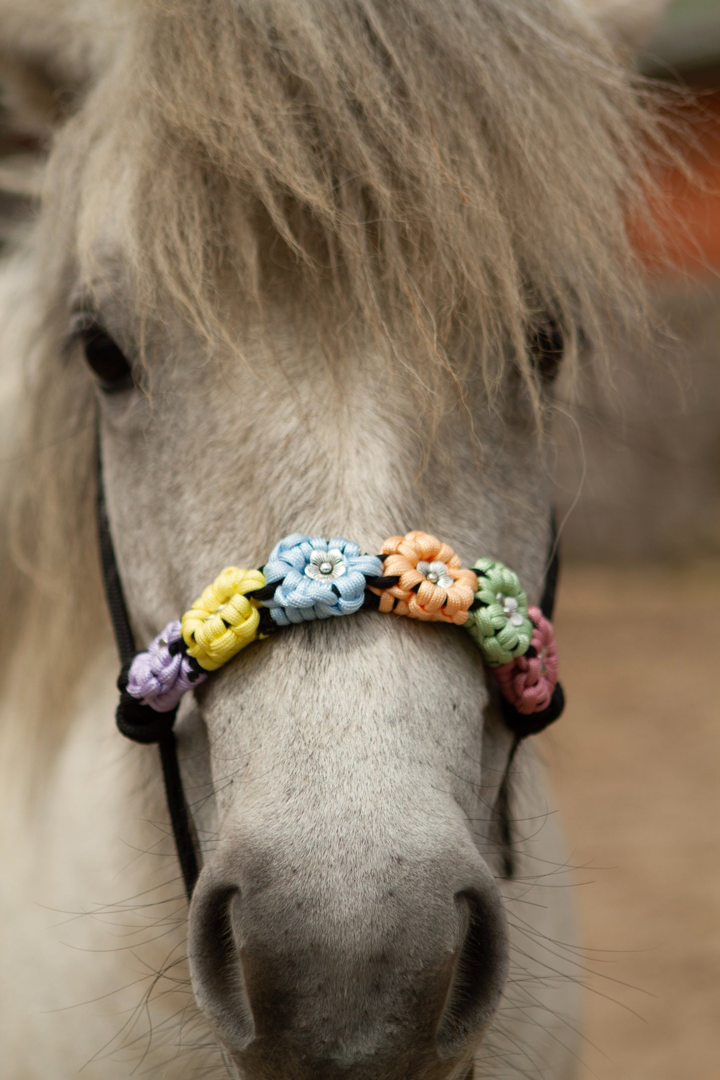 Knotenhalfter "Flora"