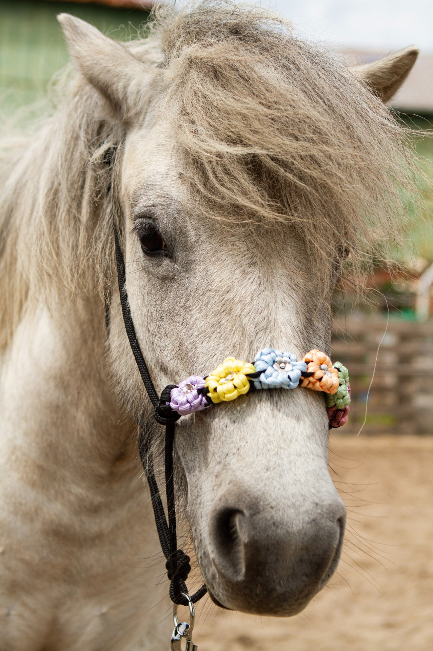 Knotenhalfter "Flora"