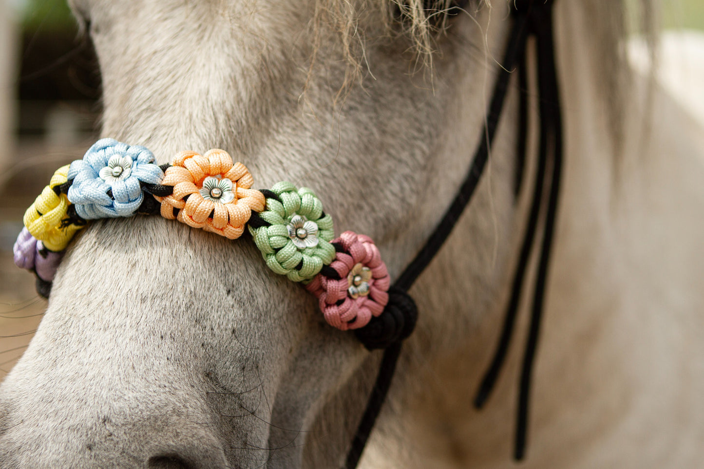 Knotenhalfter "Flora"