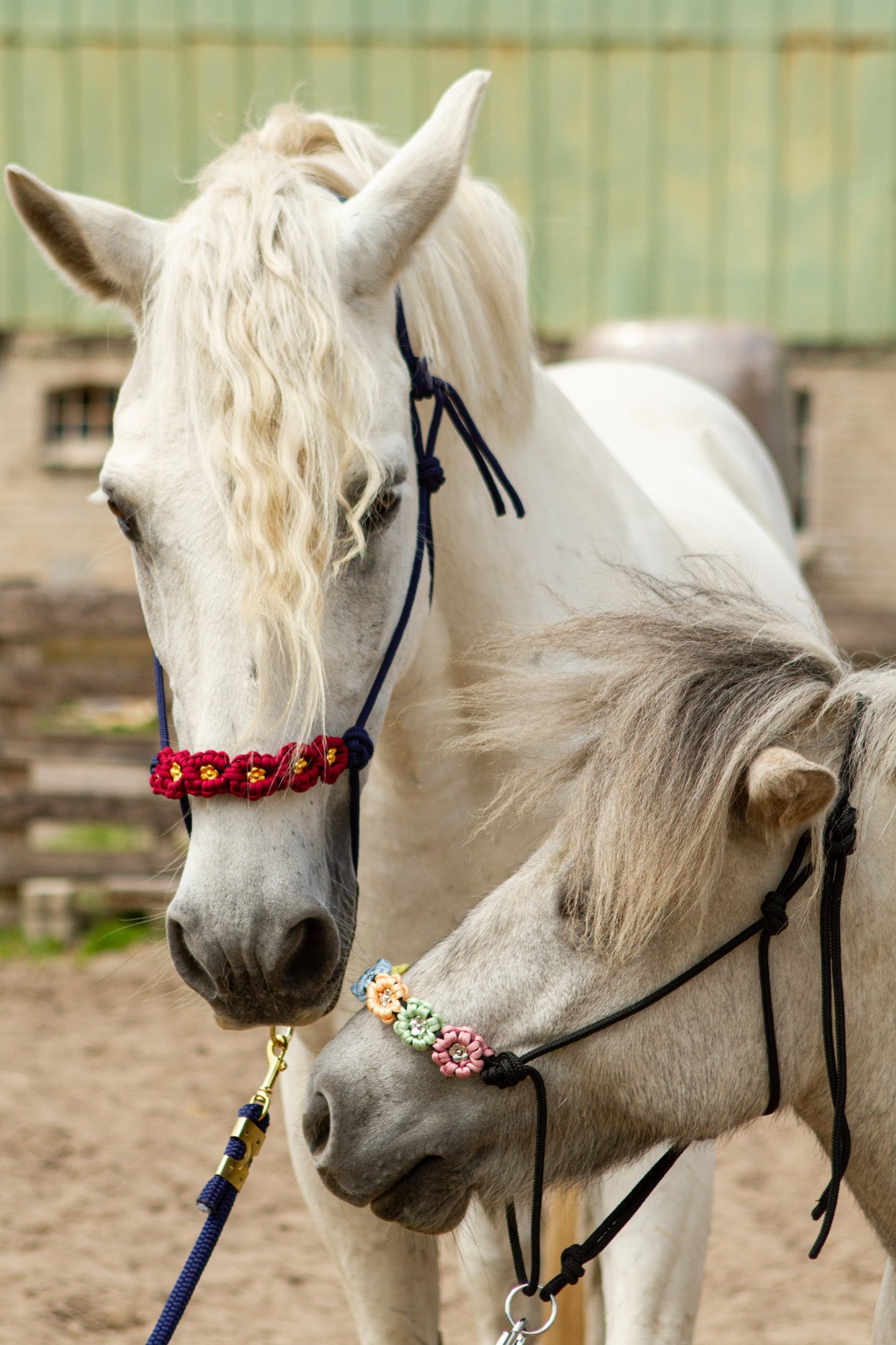 Knotenhalfter "Flora"