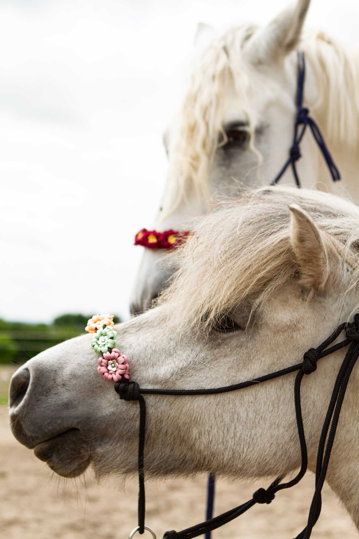 Knotenhalfter "Flora"