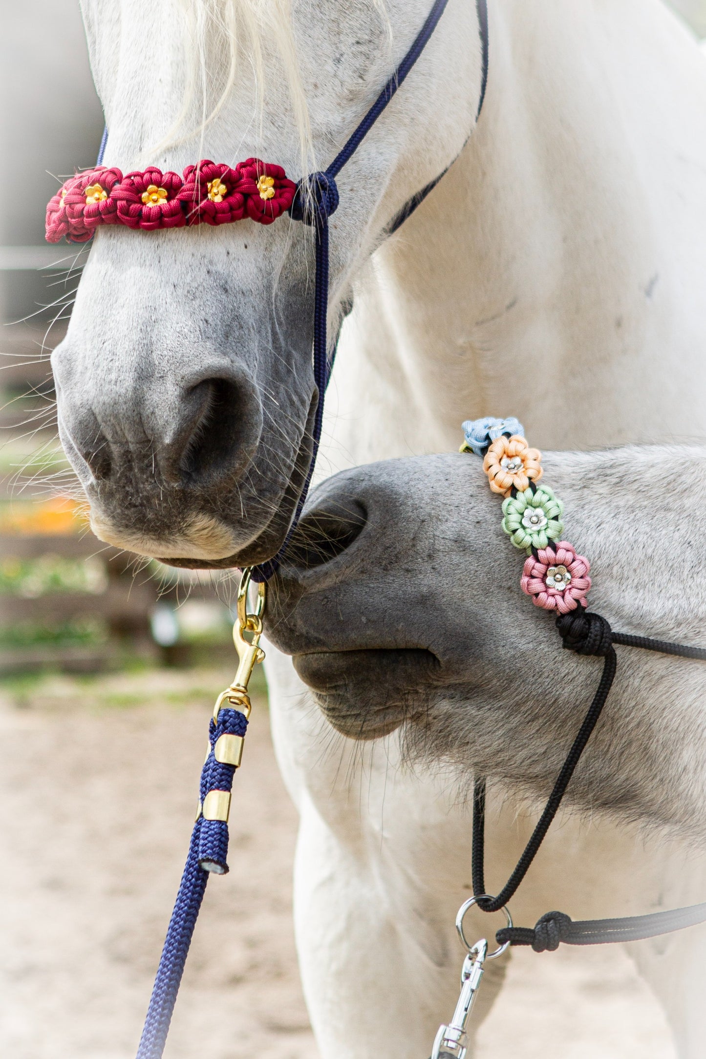 Knotenhalfter "Flora"