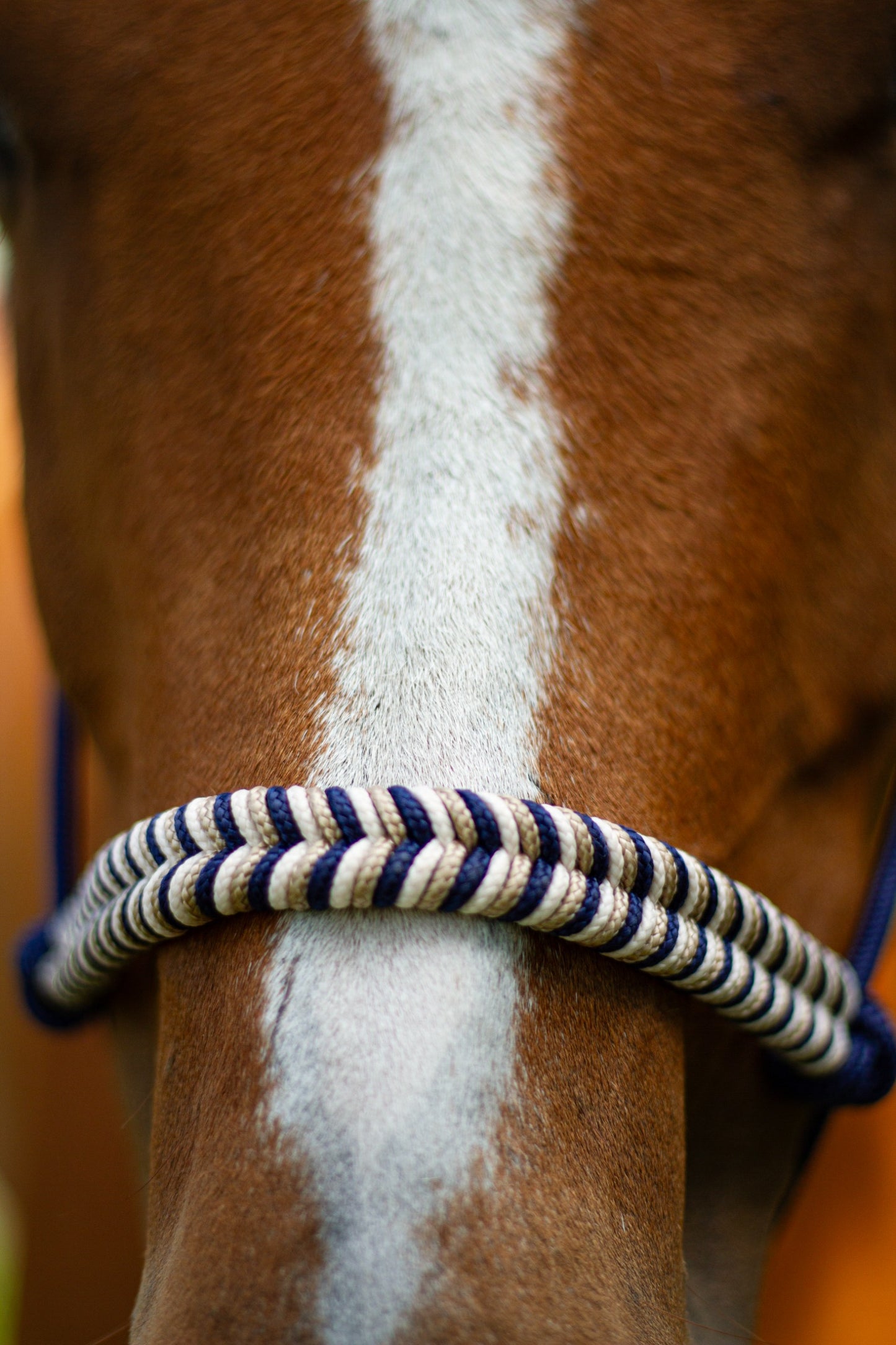 Knotenhalfter "Ósk"