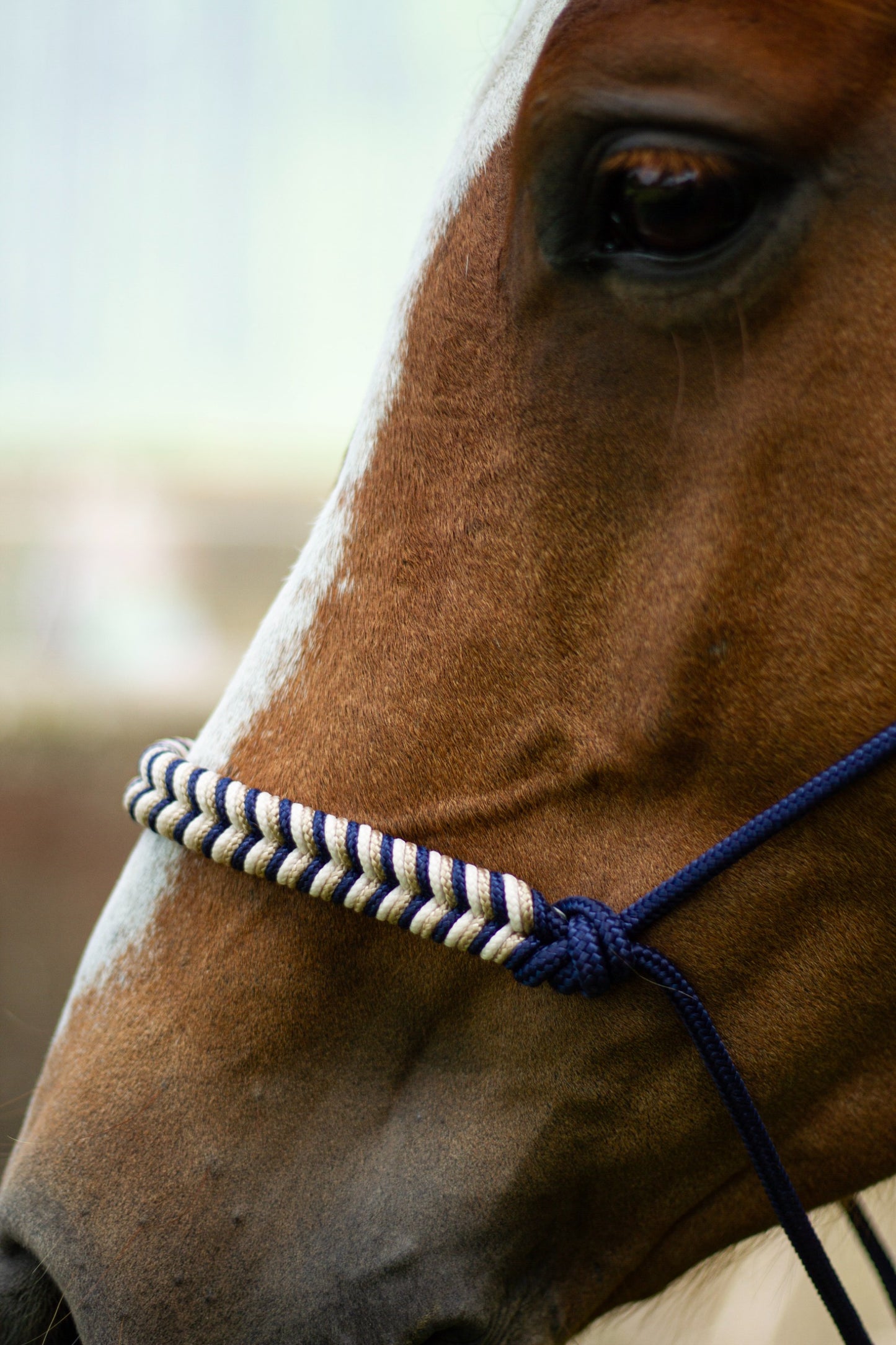 Knotenhalfter "Ósk"