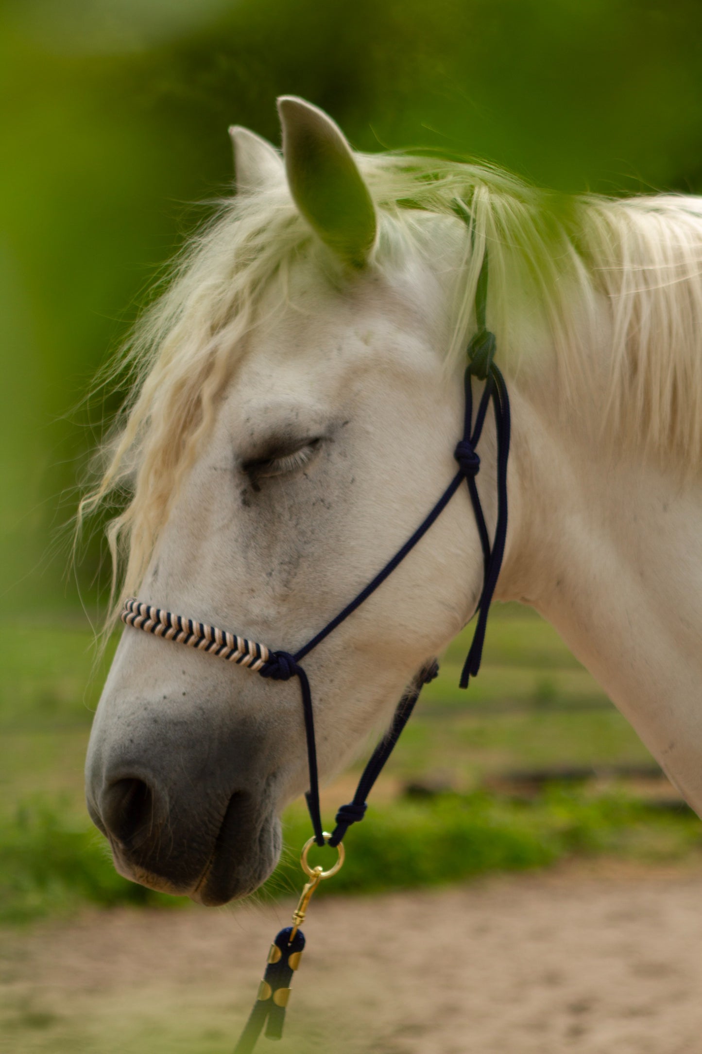 Knotenhalfter "Ósk"