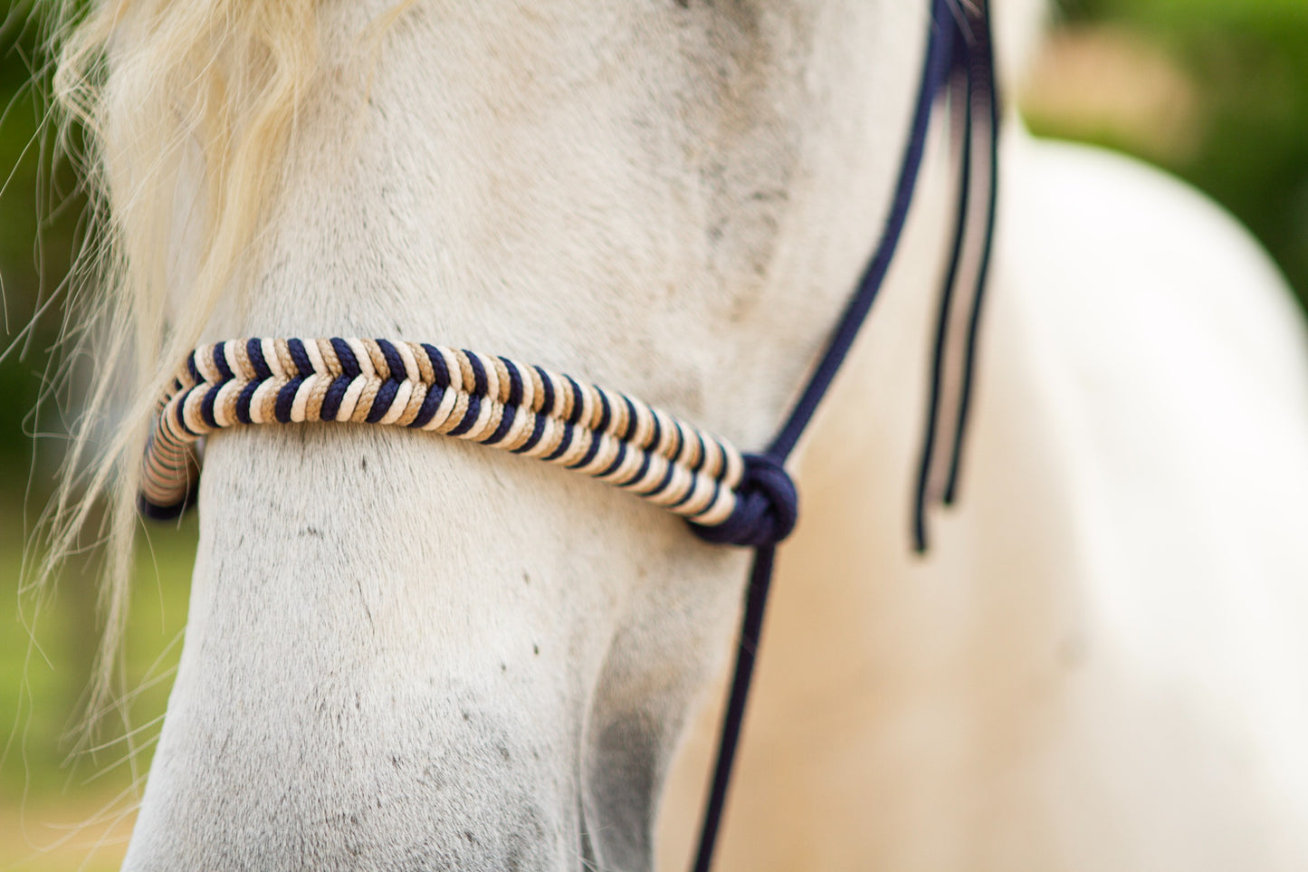 Knotenhalfter "Missy"