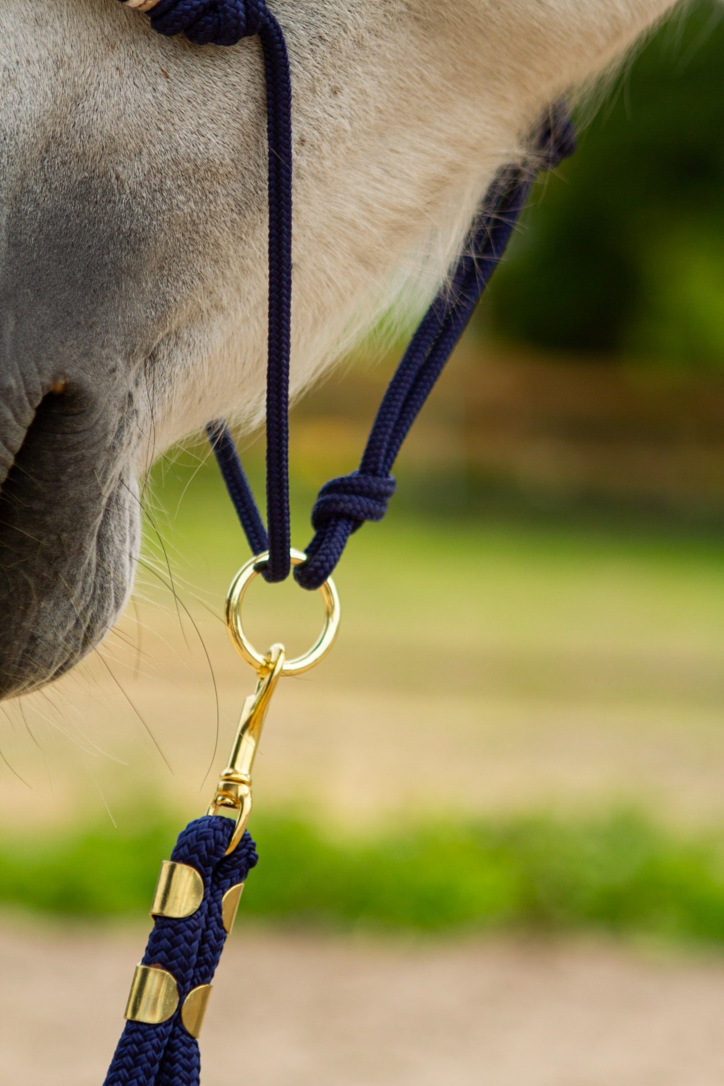 Knotenhalfter "Ósk"