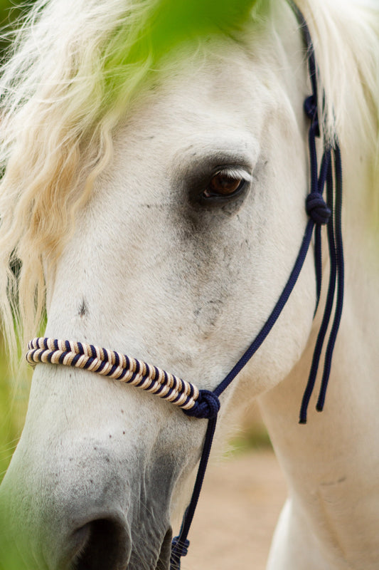 Knotenhalfter "Missy"