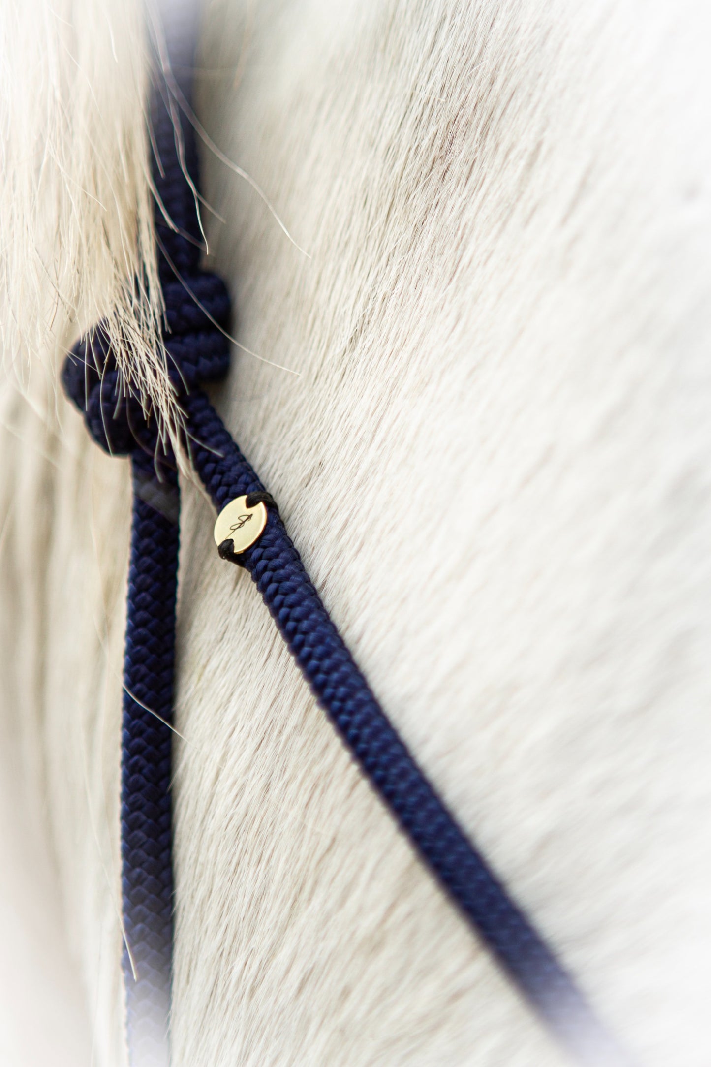 Knotenhalfter "Ósk"