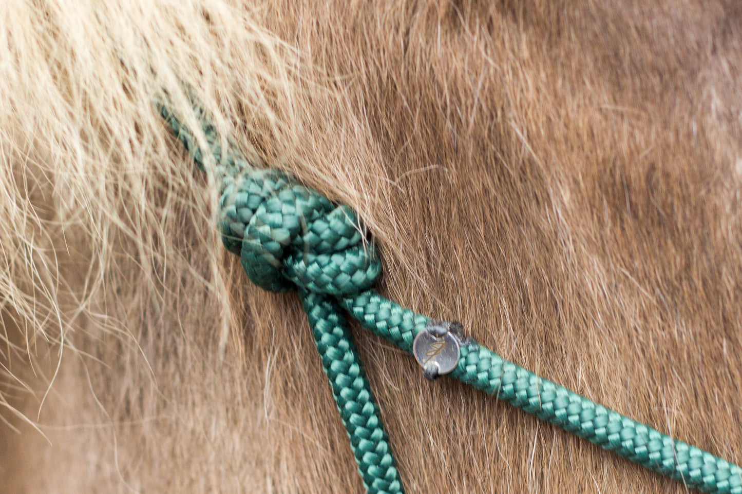 Knotenhalfter "Ósk"